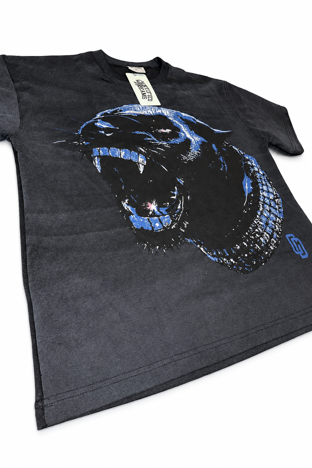 Second T-shirt photo on a white background
